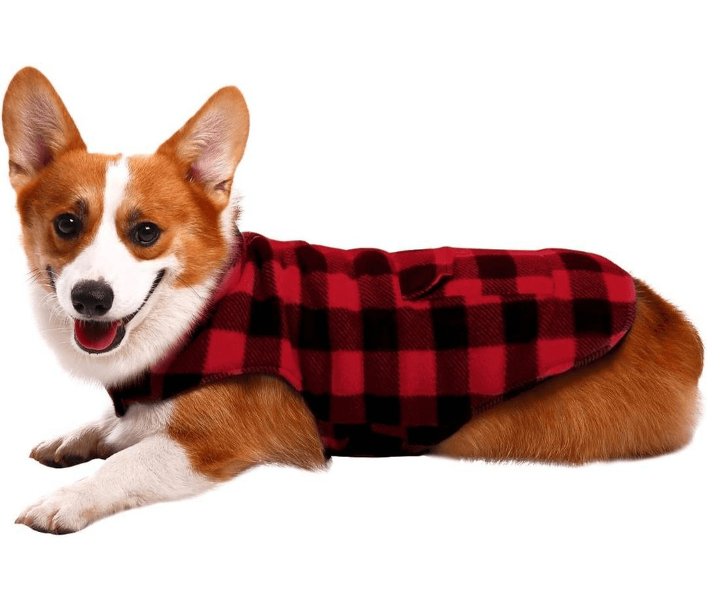 NWT GRAYSON PUP FLEECE OUTFIT