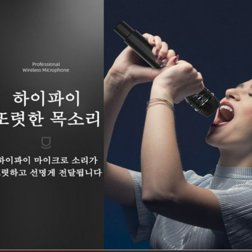 Wireless Microphone 2-Channel Karaoke Set Official