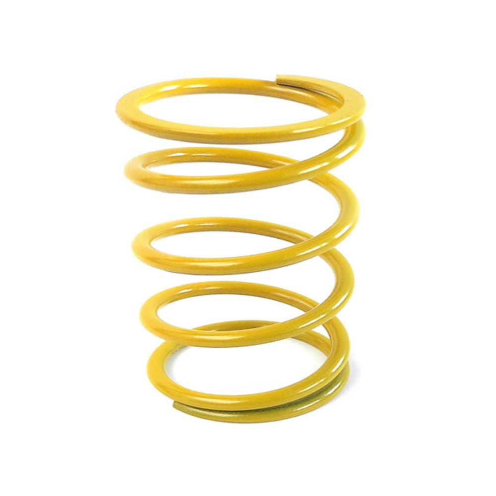 EPI CAPS1 Clutch Spring Ea