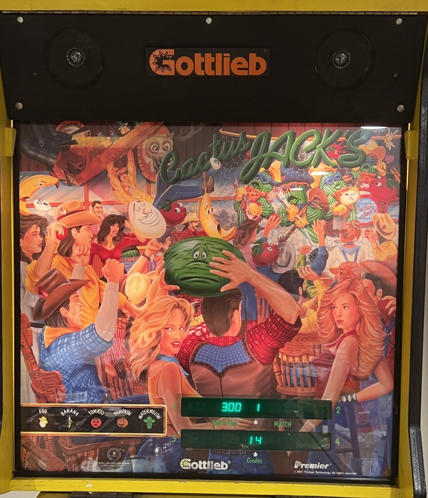 CACTUS JACK PINBALL MACHINE