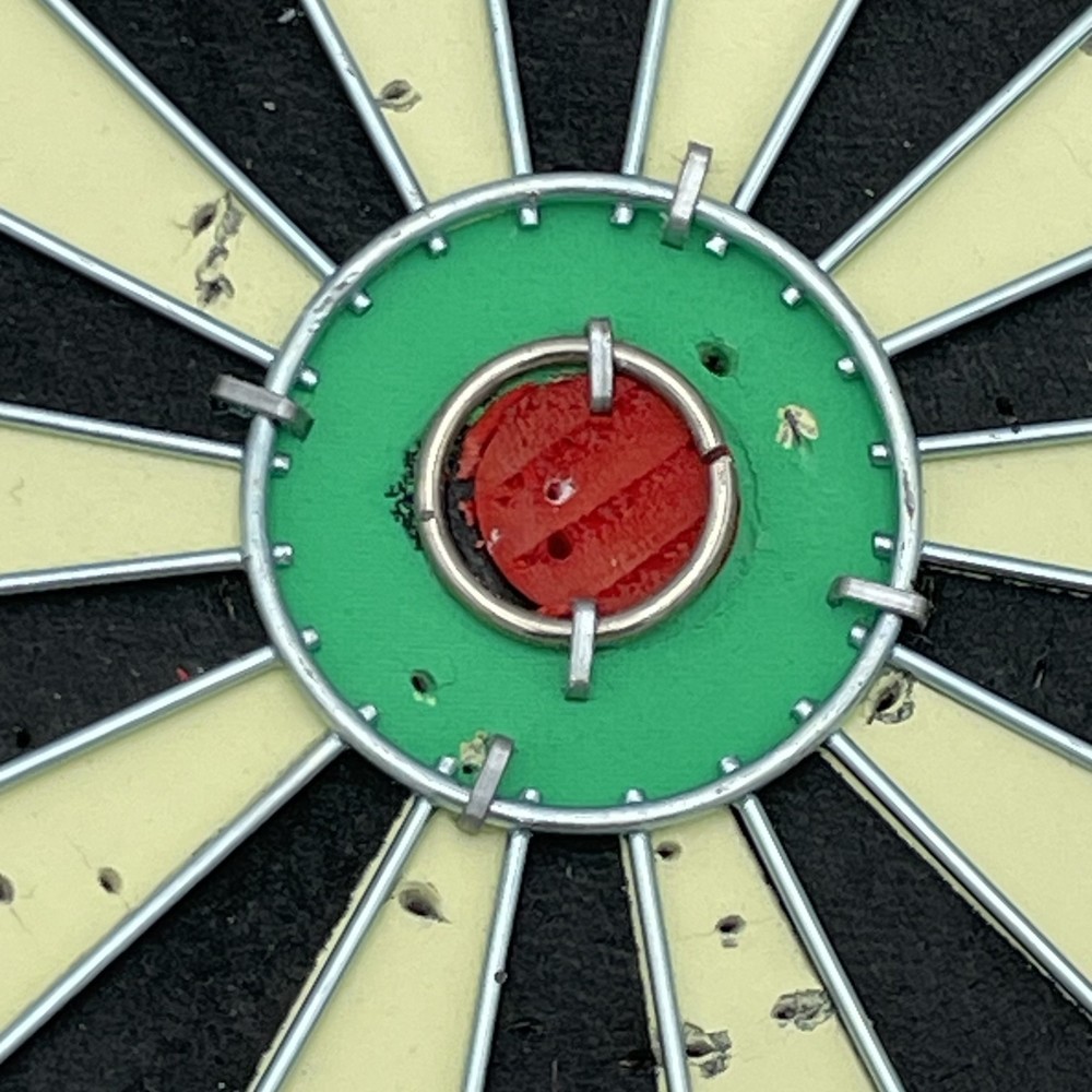 Dart Board (about 18 Inches)