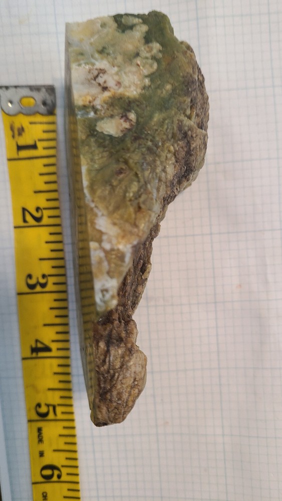 Rain Forest Jasper Rough