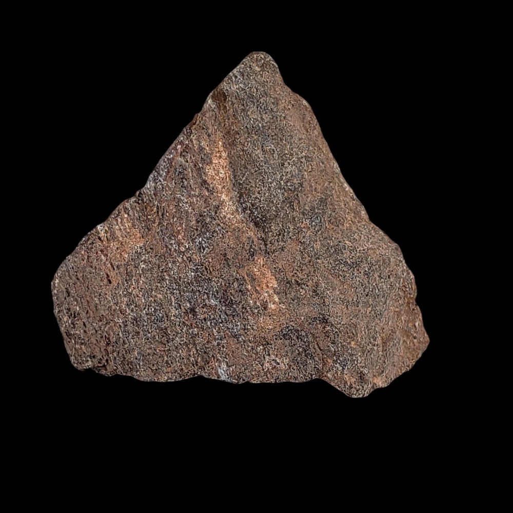 Jurassic Dinosaur Fossil Bone from Morrison Formation Includes Display