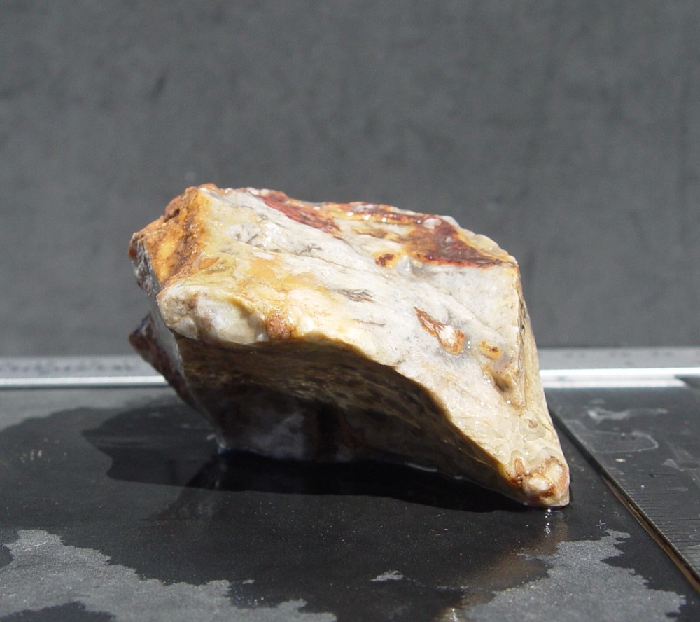 Lace Agate Small Lapidary Rough 1315
