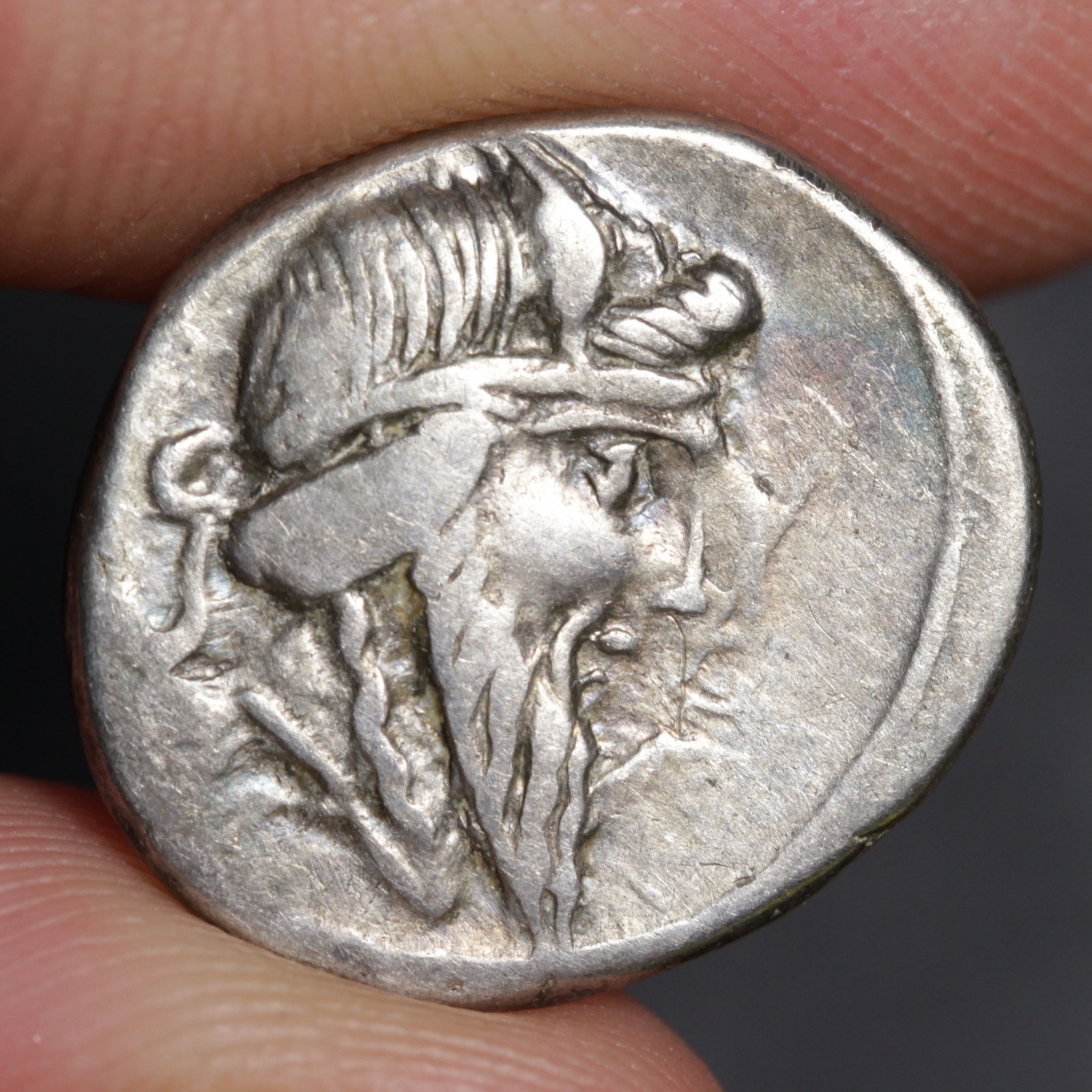 Pegasus Denarius Ancient Roman Republic Silver Coin 90BC Q Titius Mutinus