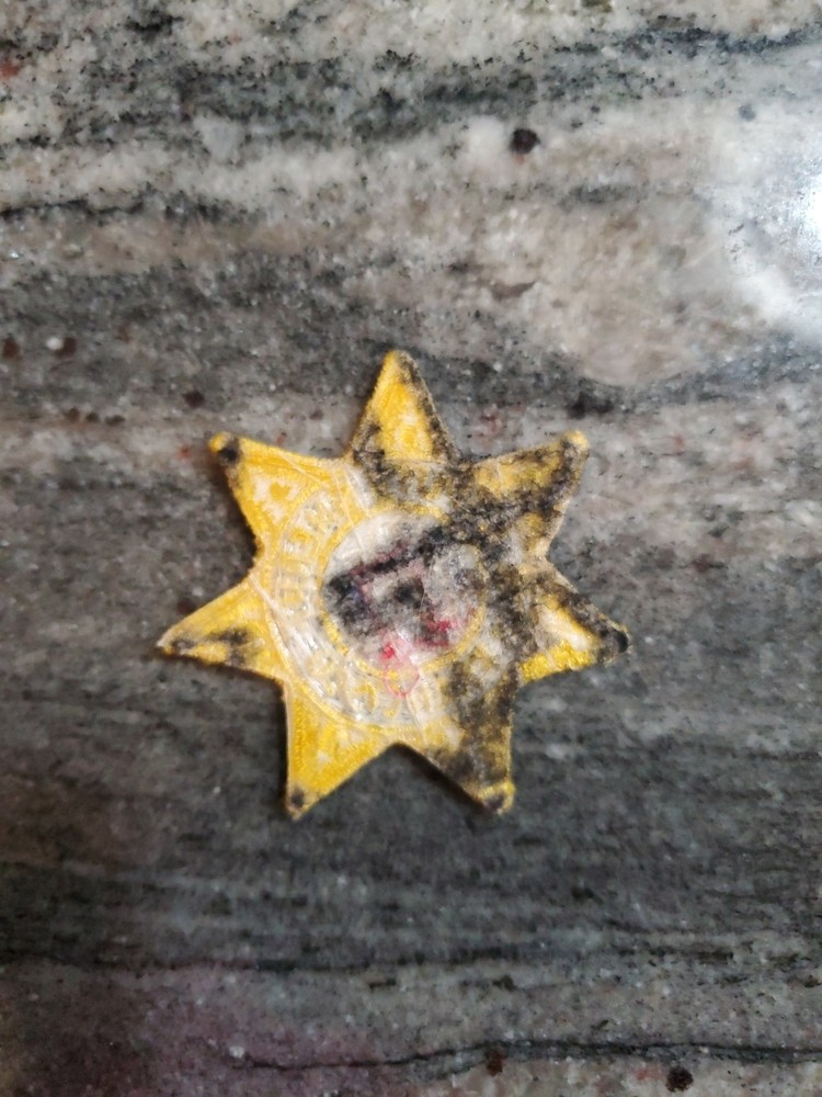 San Francisco Sheriff Department Patch