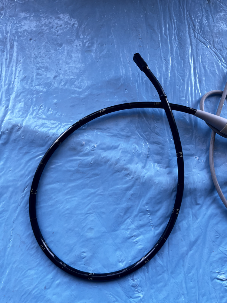 Acuson Transducer/Probe TE-V5M