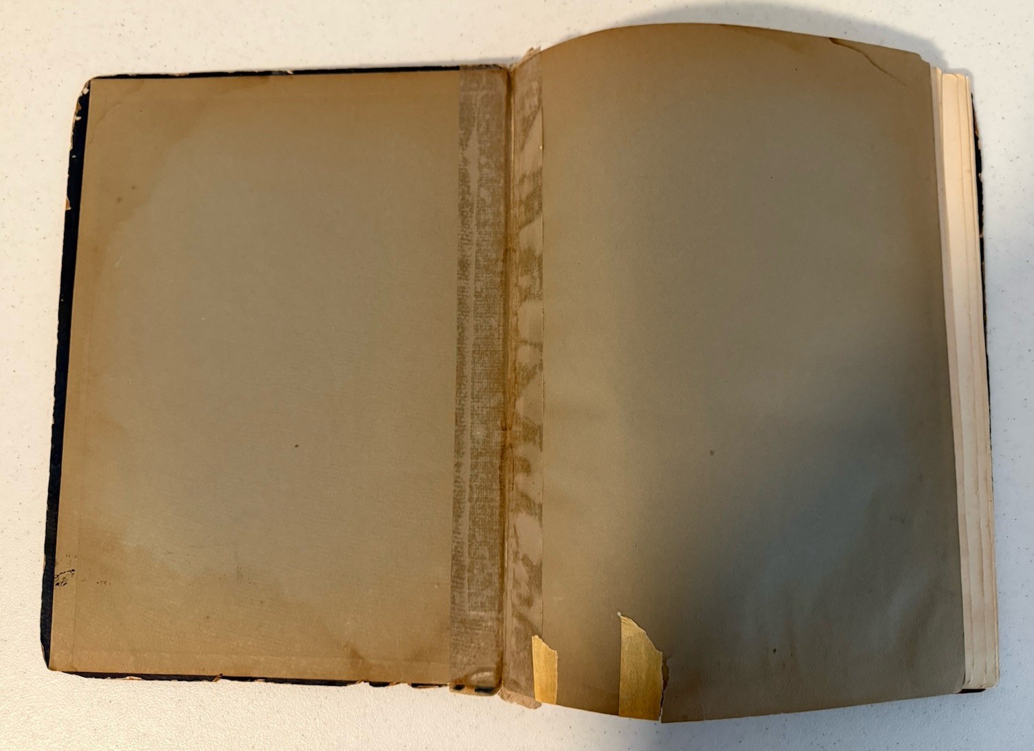 Chasam Sofer HAGGADAH PASSOVER Vienna WIEN 1928 JEWISH ART English RARE חתם סופר