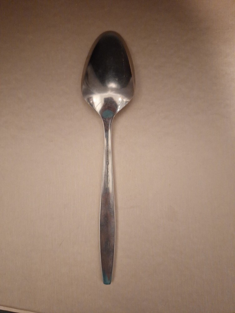 FASCINATION International Decorator Stainless Solid Serving Spoon 8 1/4"