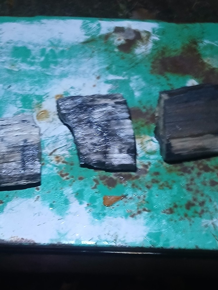 large petrified wood slab polished