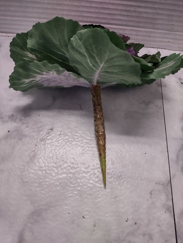Mini rose artificial decorative cabbage. Silk Flowers