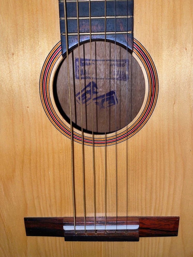 Giannini AWN 20 Classical Guitar Small 3/4 Model