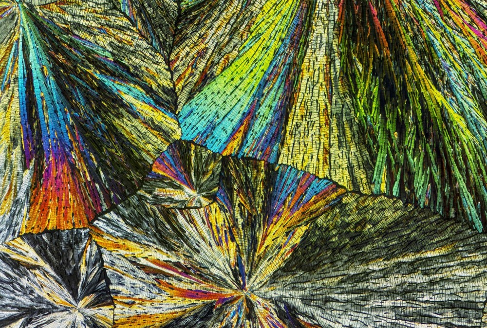 Microscope slide for polarization, PREGNENOLONE