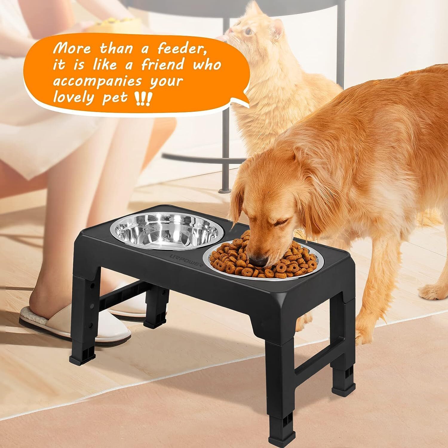 Elevated Dog Bowl Pet Feeder Stainless Steel Raised Food Water Stand w/ 2 Bowls
