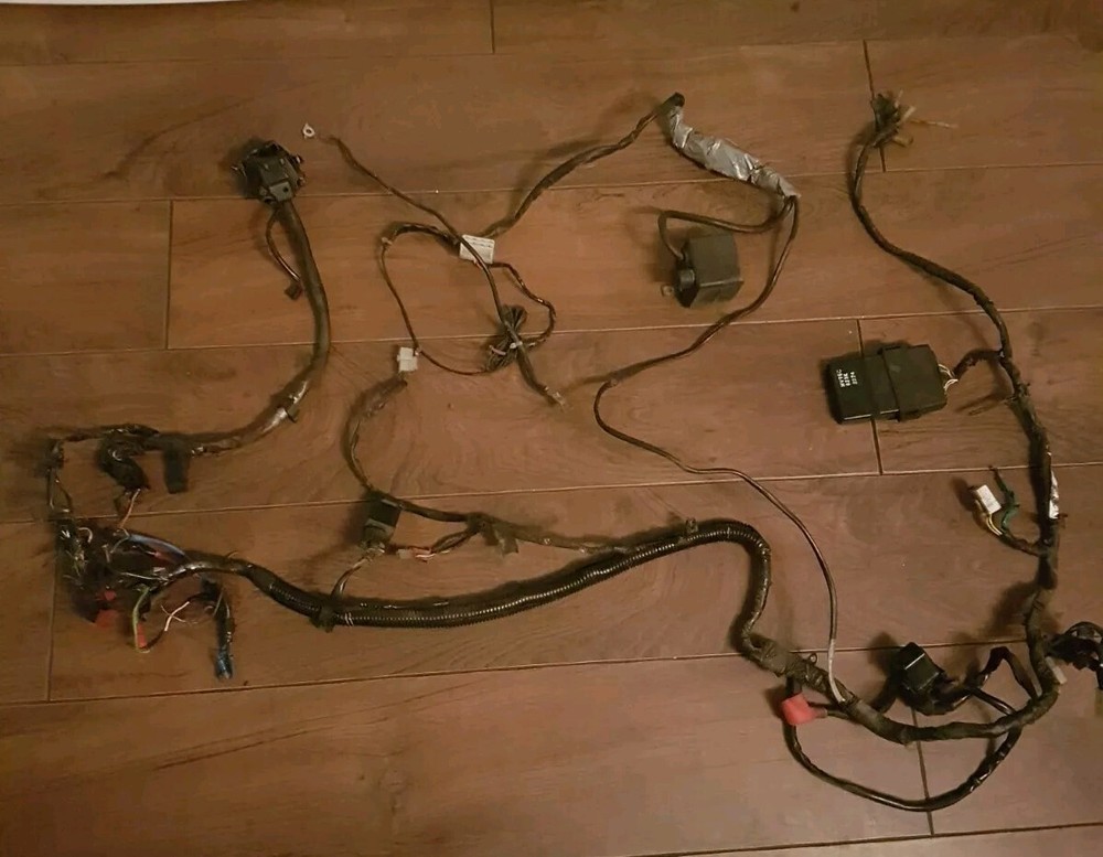 1992 honda cbr600f2 Wiring Loom