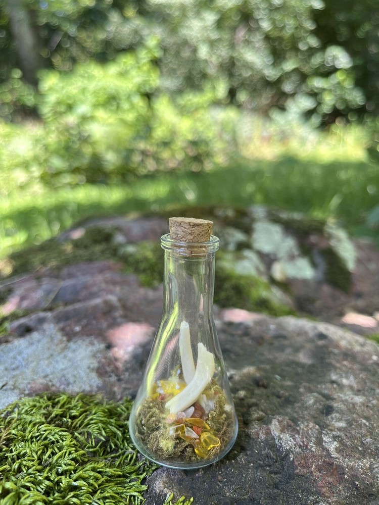 Bone Bottles