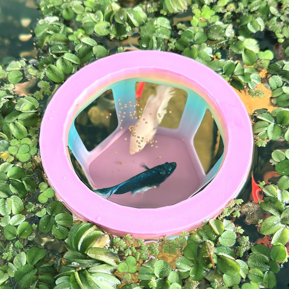 Aquarium Betta Hammock, Betta Hideout & Cave, Floating Feeding Ring for Fish ...