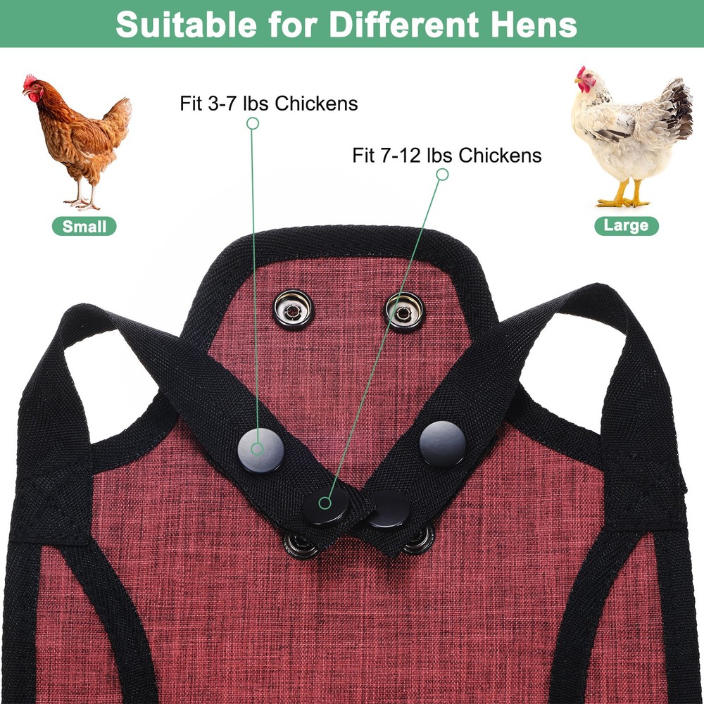 3-Pack Premium Chicken Saddle, Hens Saddle with Adjustable Strap [Red]