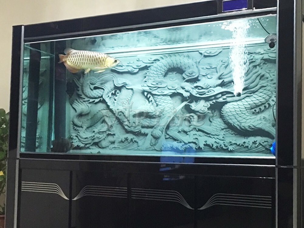 Aquarium Background Poster Dragon Cameo PVC 3D Fish Tank Decorations Landscape