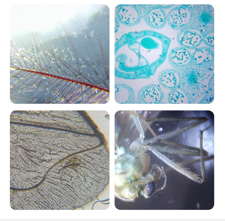 195 1X 2X RMS Achromatic Infinity Objective Lens for Biological Microscope