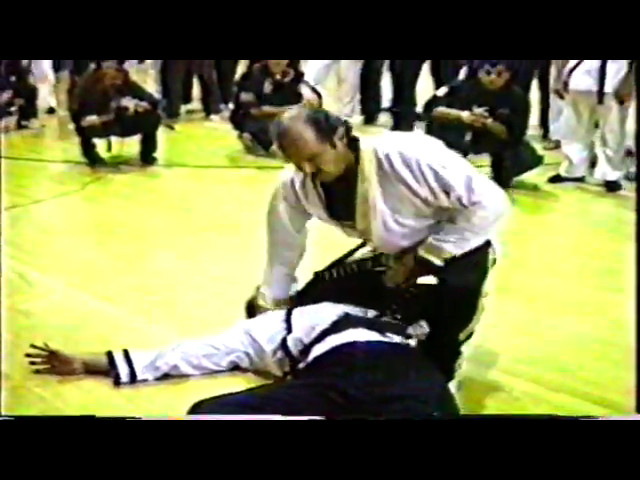 GM Fred Villari Seminar Shaolin Kempo Karate Seminar 90 | Martial Art | Kung Fu