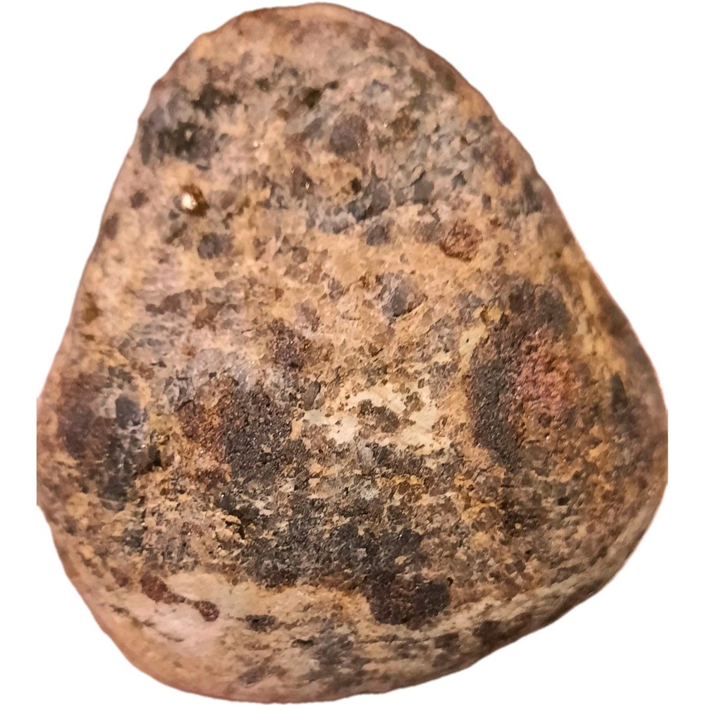 Garnet In Metamorphic Matrix Host Rock