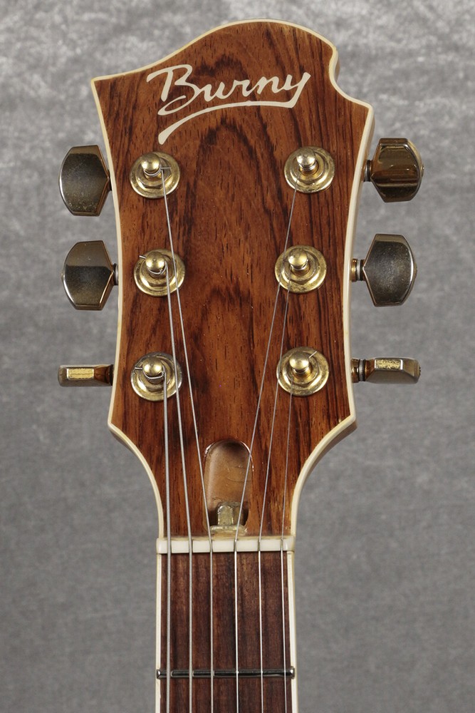 FERNANDES BURNY MG-165S Cherry Sunburst hide Model