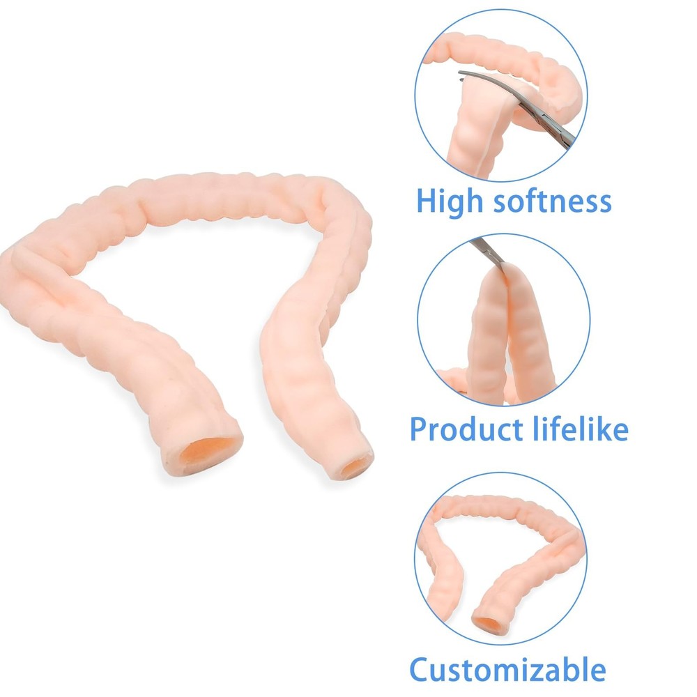 Large Intestine Model,Colon Suturing Practice,Electrocautery Practice, Unders...