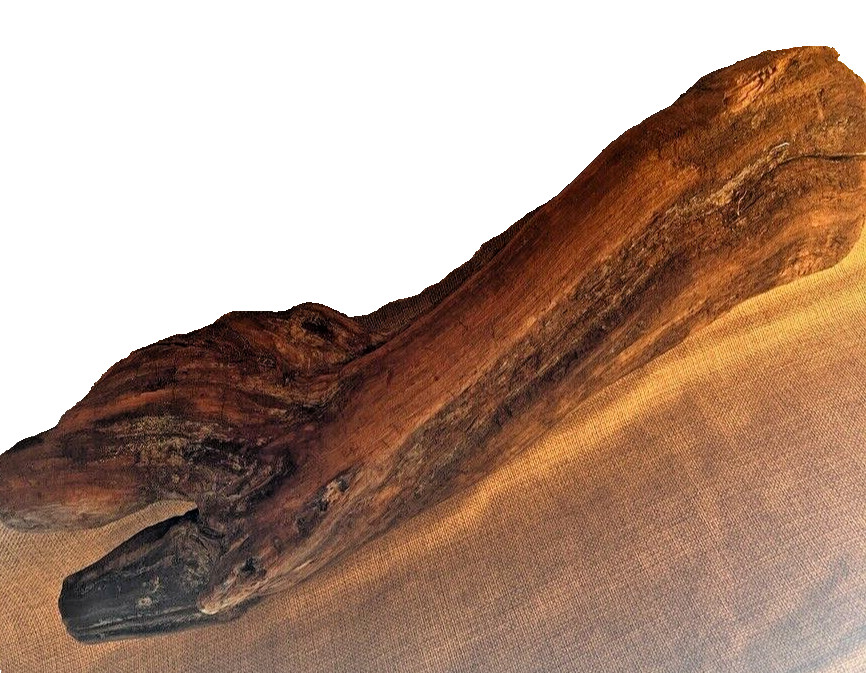 18" x 5" Redwood Driftwood Organic Craft Aquarium Rustic Boho Natural Wood