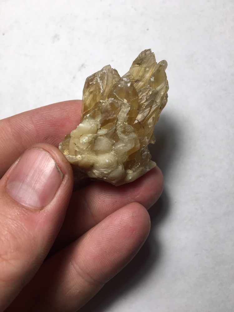 Fossil Clam Shell Calcite Crystals Fluorescent Cluster Rainbow From Rucks Pit FL
