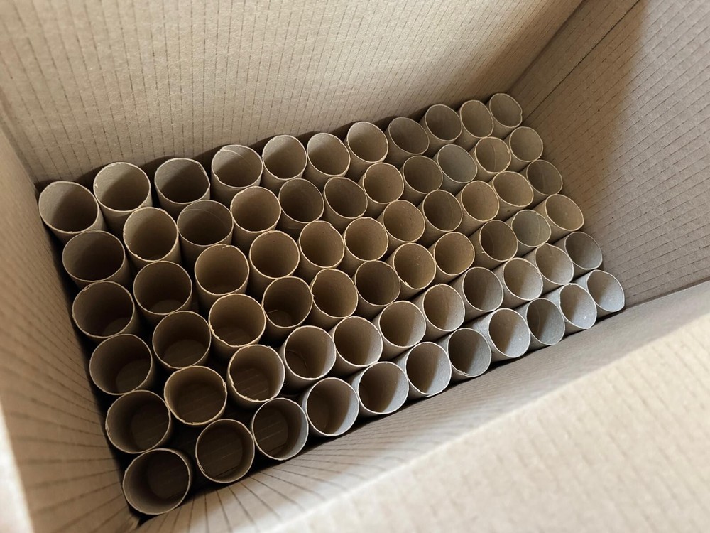Clean empty toilet paper rolls (100 or other quantities)