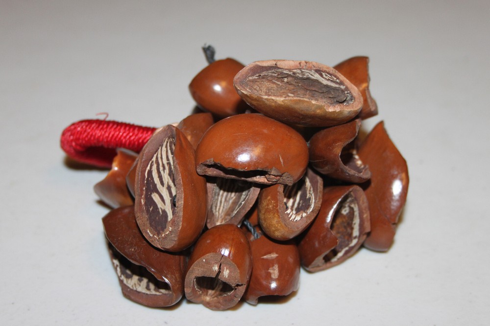 African Togus Seed Shaker Percussion Instrument with Red Handle