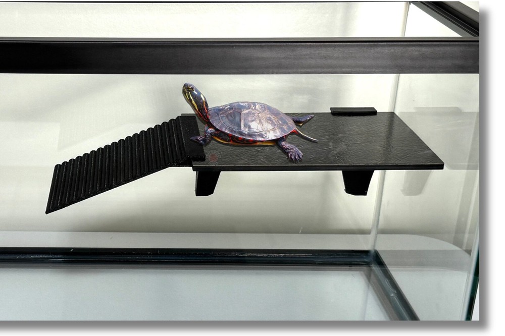 LifeWithPets Turtle Basking Dock Turtle Platform Free Shipping