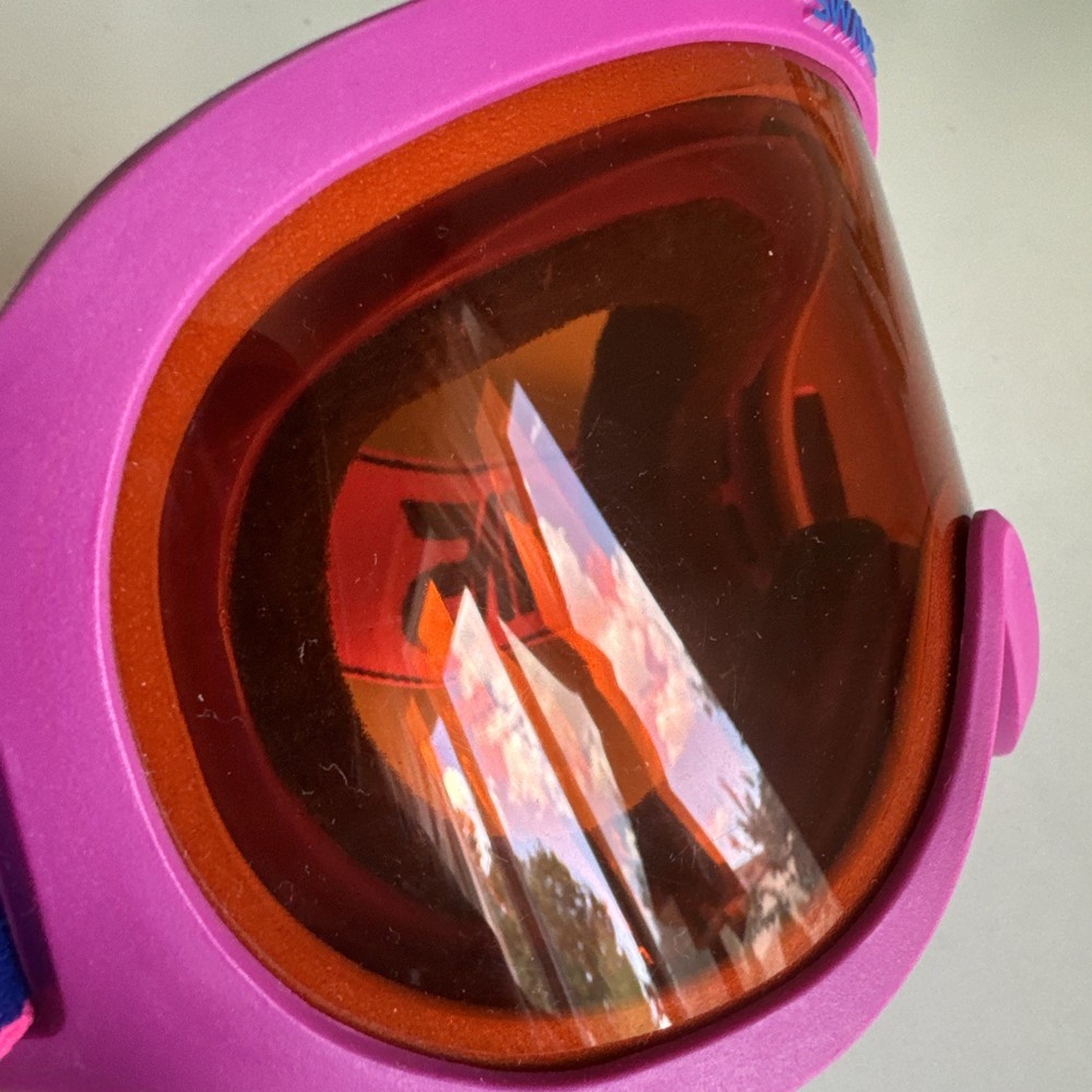 vintage swans ski goggles (d23)
