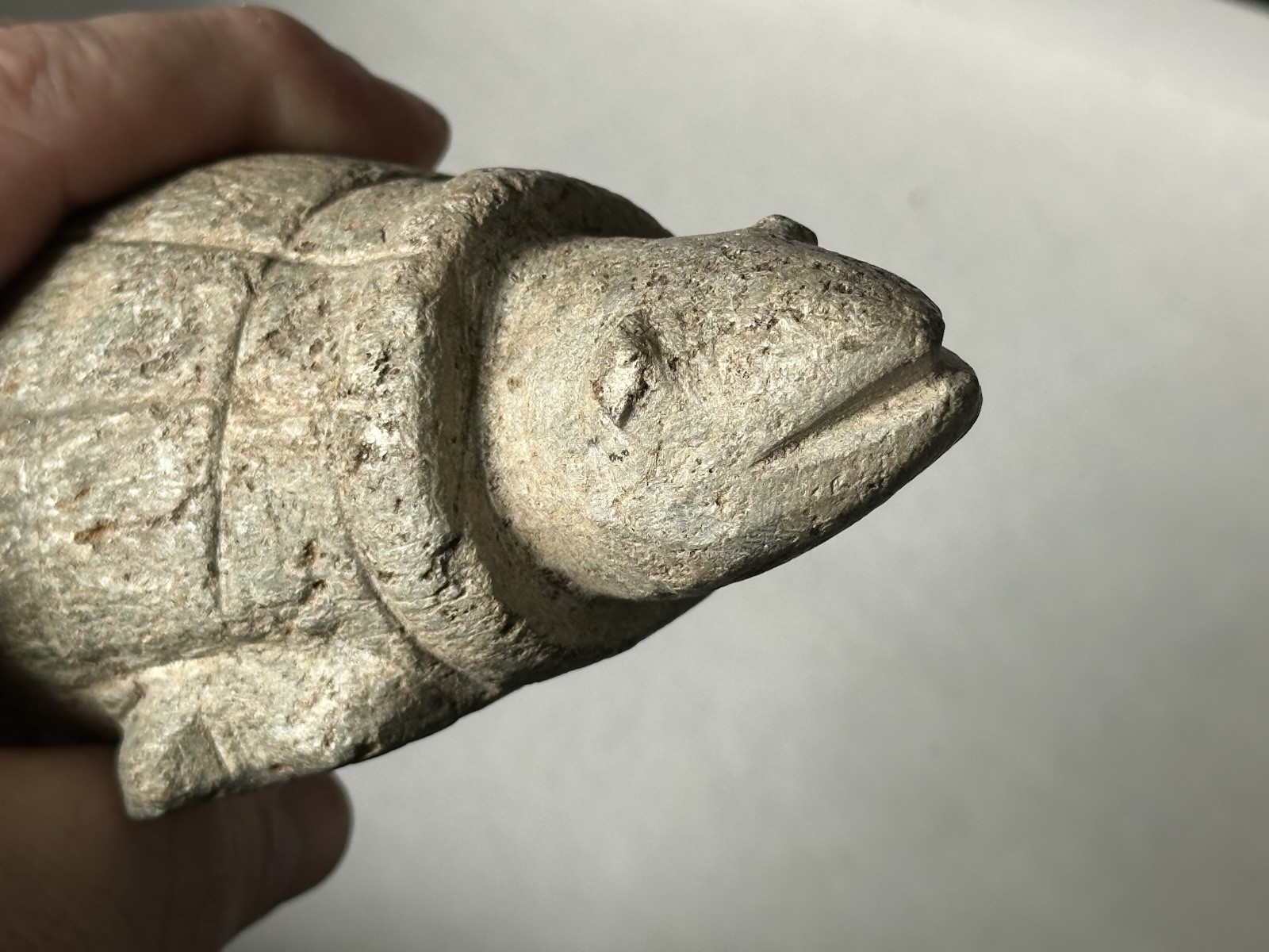 RARE CARVED STONE TURTLE EFFIGY FROM THE COLUMBIA RIVER, OREGON, MOTLEY COA
