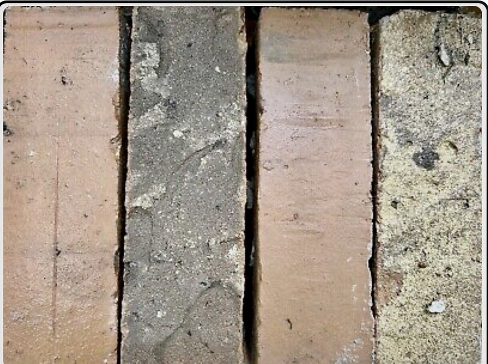 Vintage Rare Red Bricks - with worm tracks?