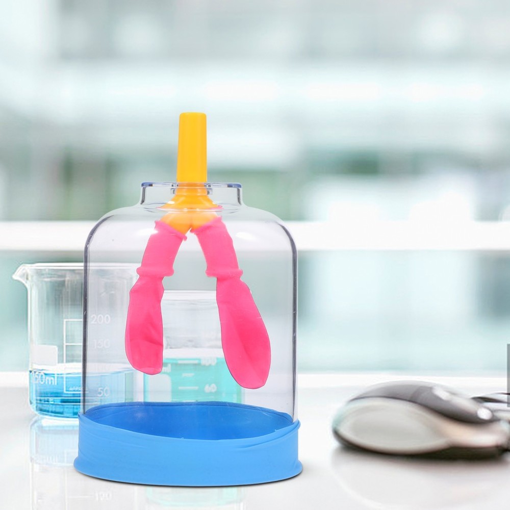 Lung Demonstration Model Function Teaching Aid