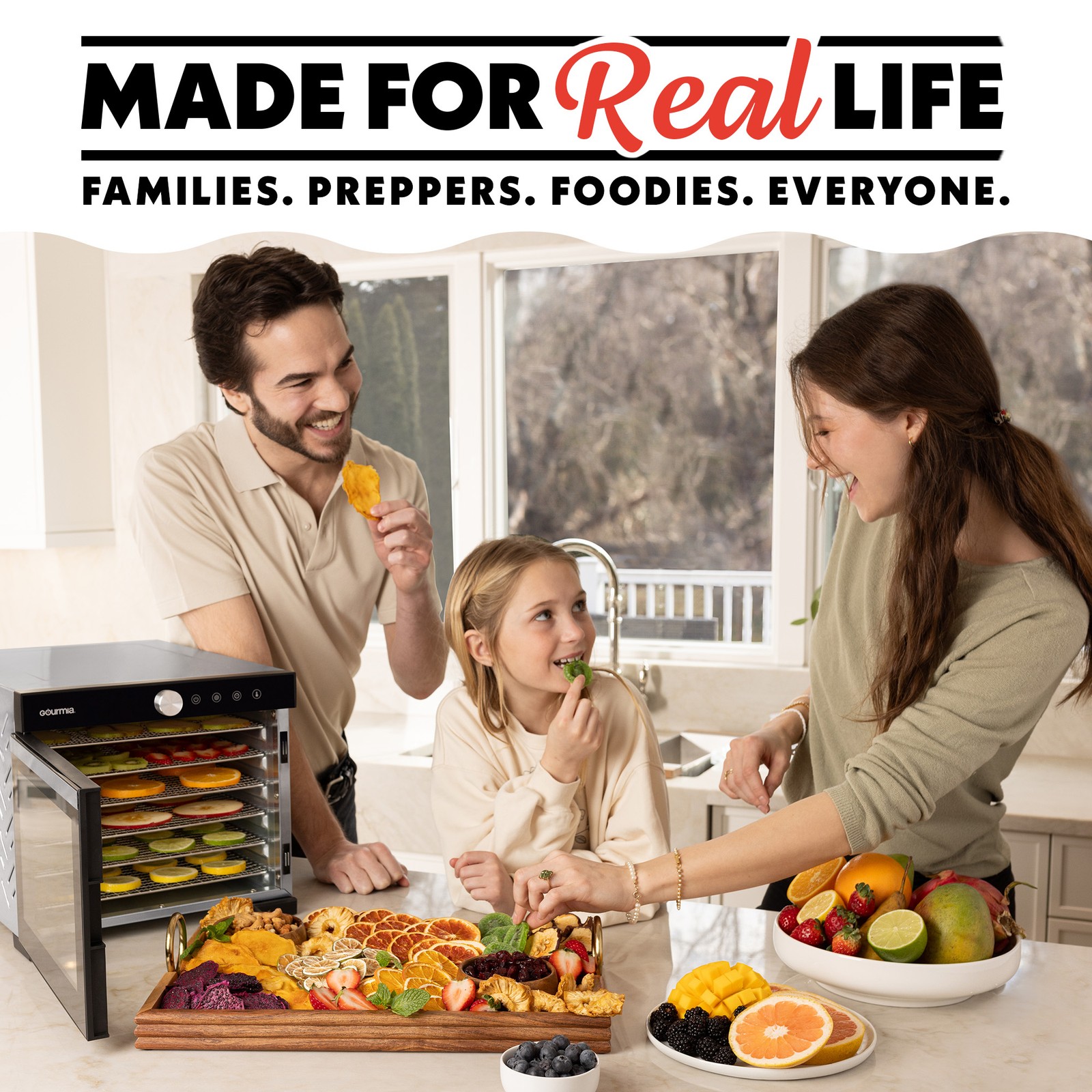 Gourmia 6 Tray Digital Food Dehydrator, Stainless Steel, Timer, Glass Door