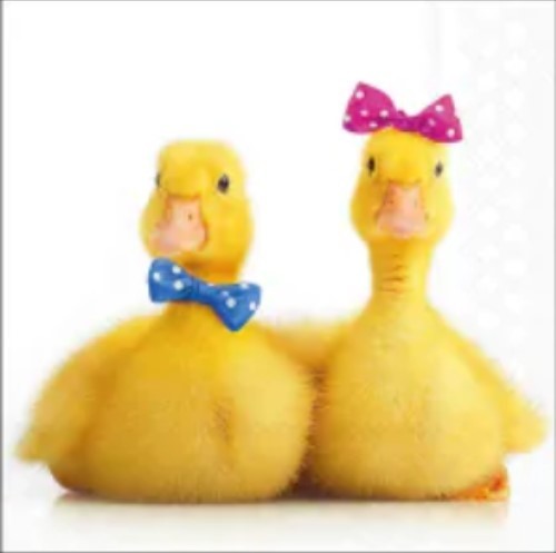 4 pcs Napkin for decoupage ducks