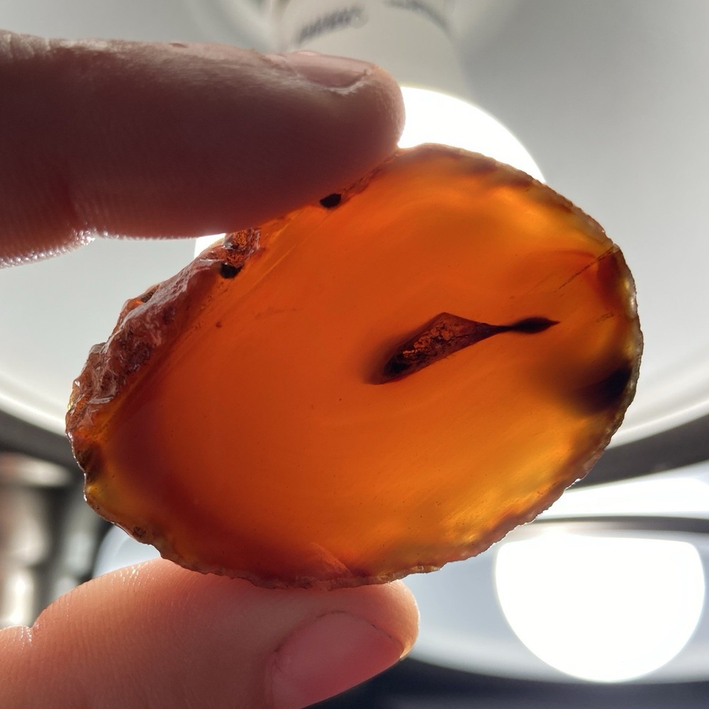 Lapidary Rough Agate Half Unpolished 2.09 Oz