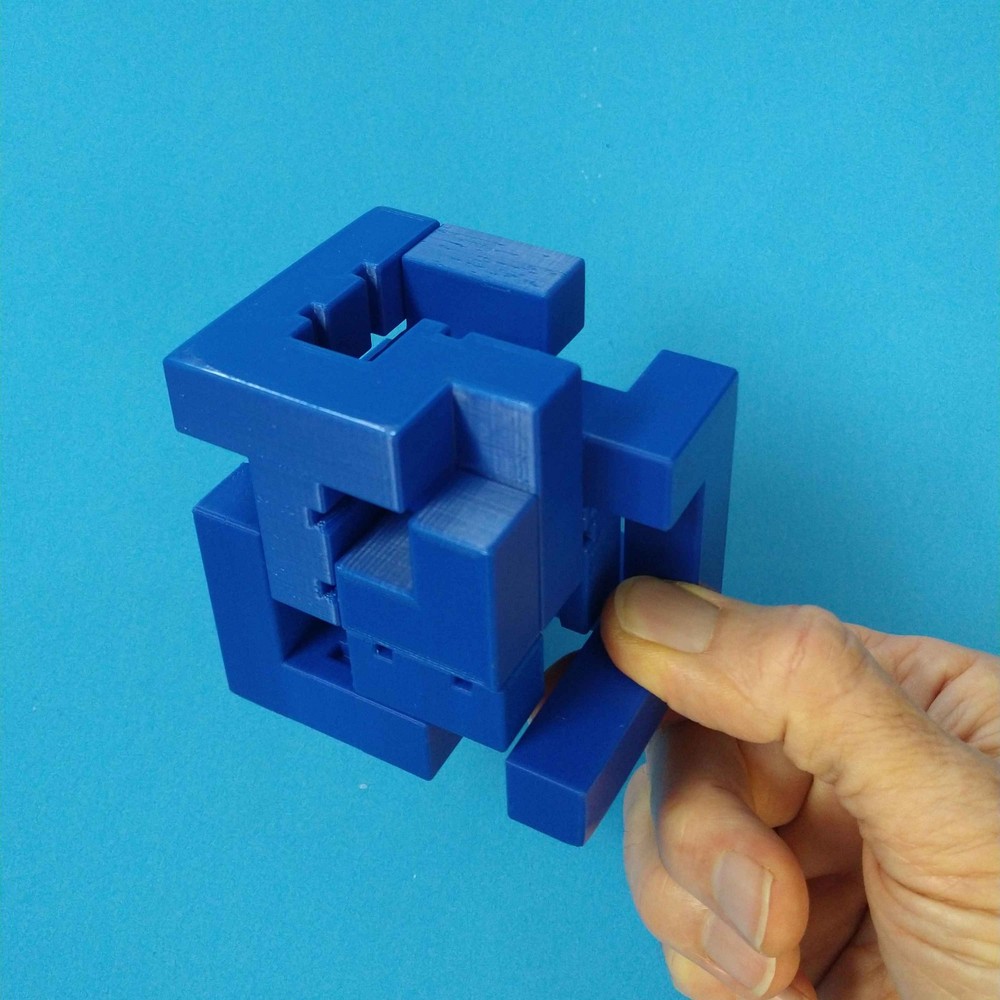 Proteus - Interlocking Assembly Maze Cube Puzzle