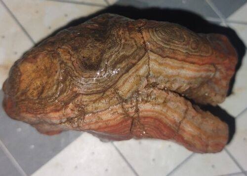 Large Solid Crowley Ridge Agates (2 Pieces) – Slabbing Material BULK