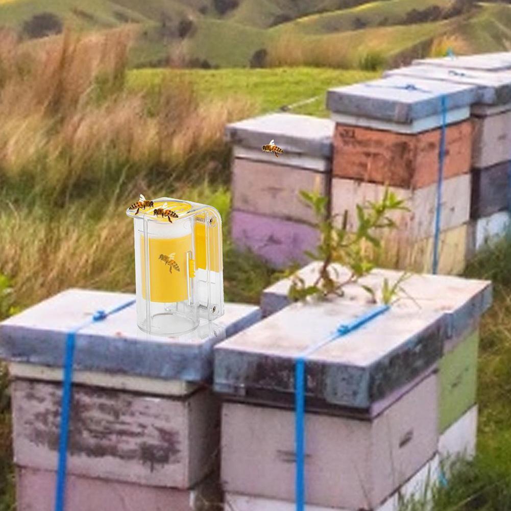 2023 Bee Queen Marking Catcher One Handed Marker Bottle Plunger Plush Tool