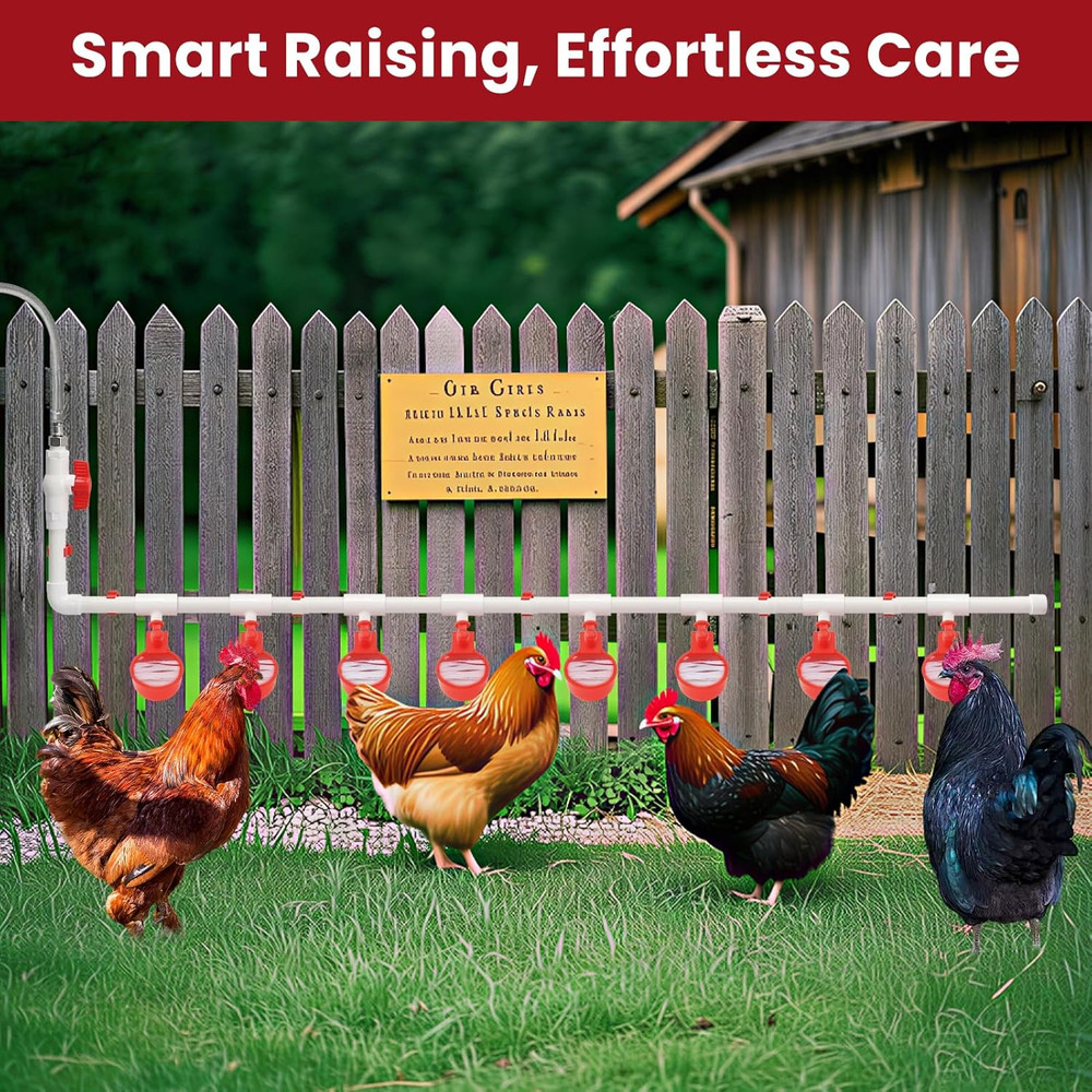 Automatic Chicken Waterer System Complete Set Pipeline Poultry Water Feeder with