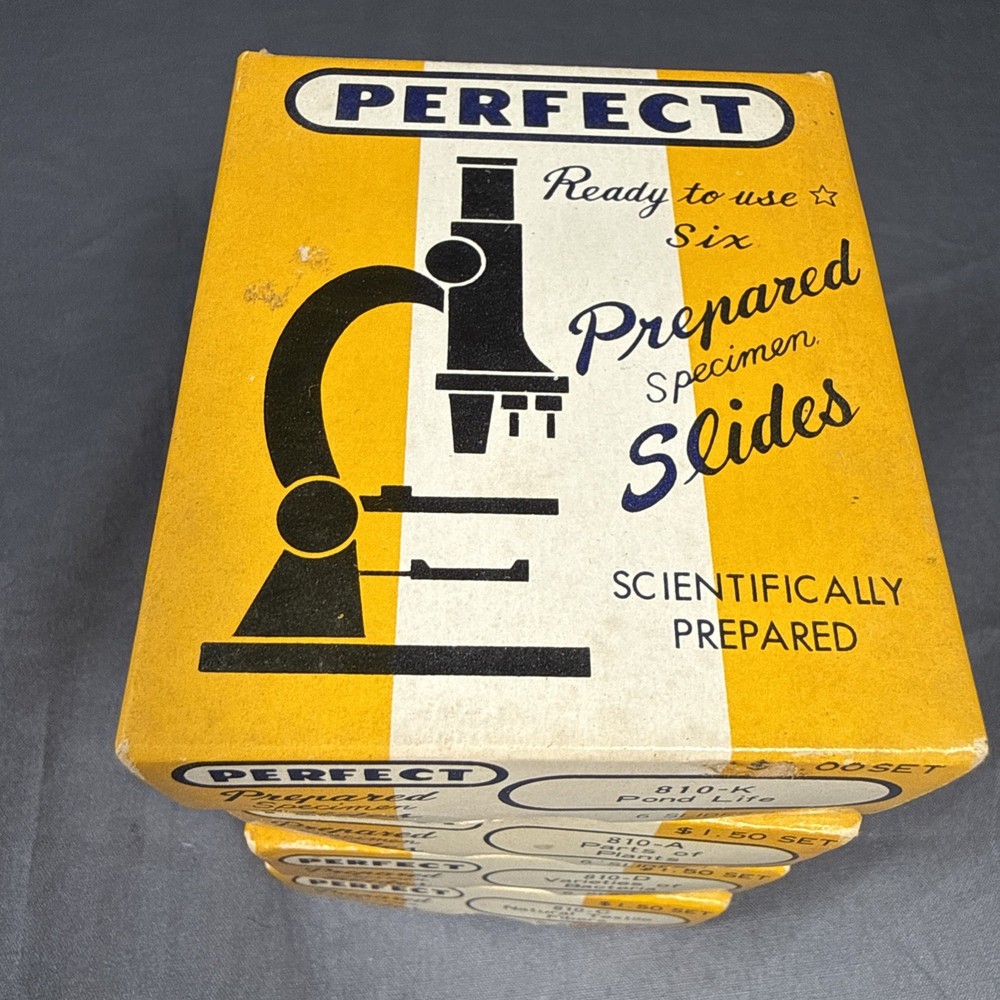 Antique microscope slides - 24 Perfect Prepared Microscope Slides Insects Etc