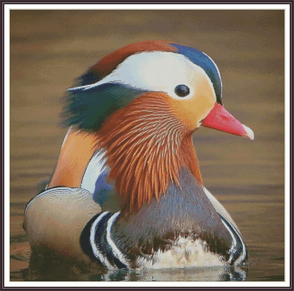 Mandarin Duck 752 Chart Counted Cross Stitch Pattern