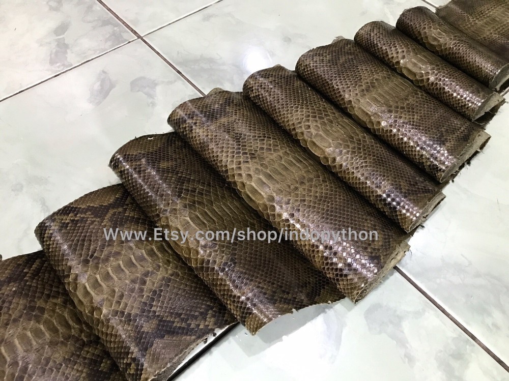 Genuine Python Leather, Exotic Snake Skin, Green SnakeSkin, Green Python Leather