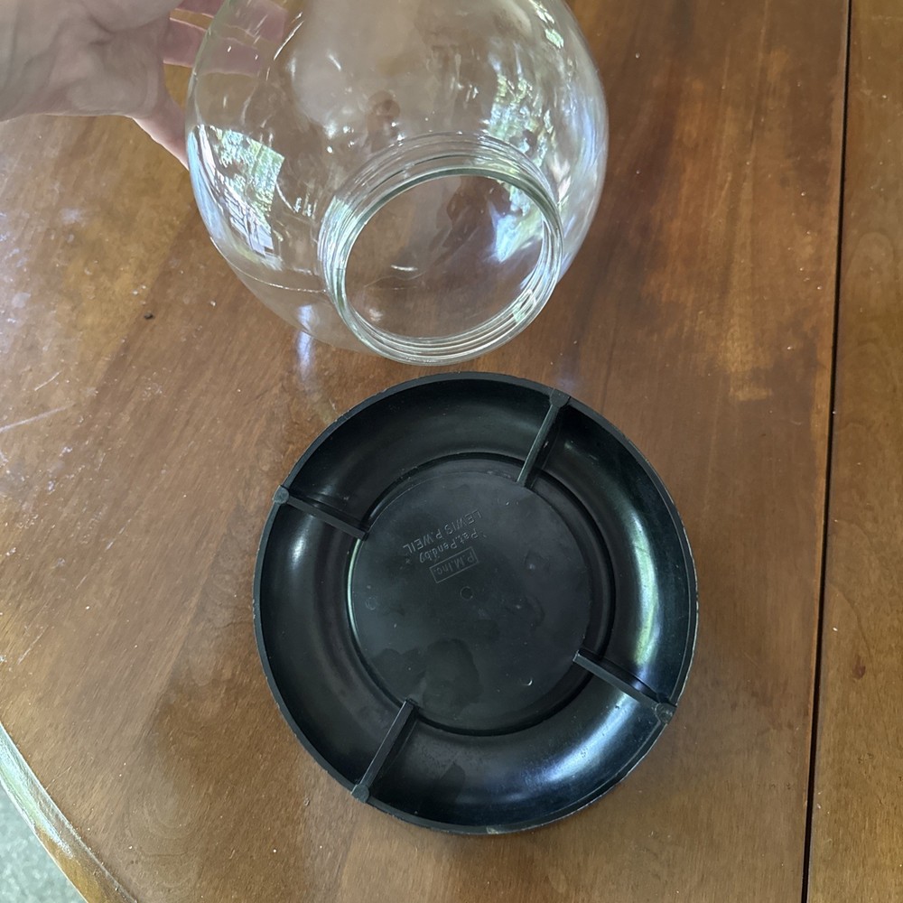 Glass Globe For Flowers Or Insects