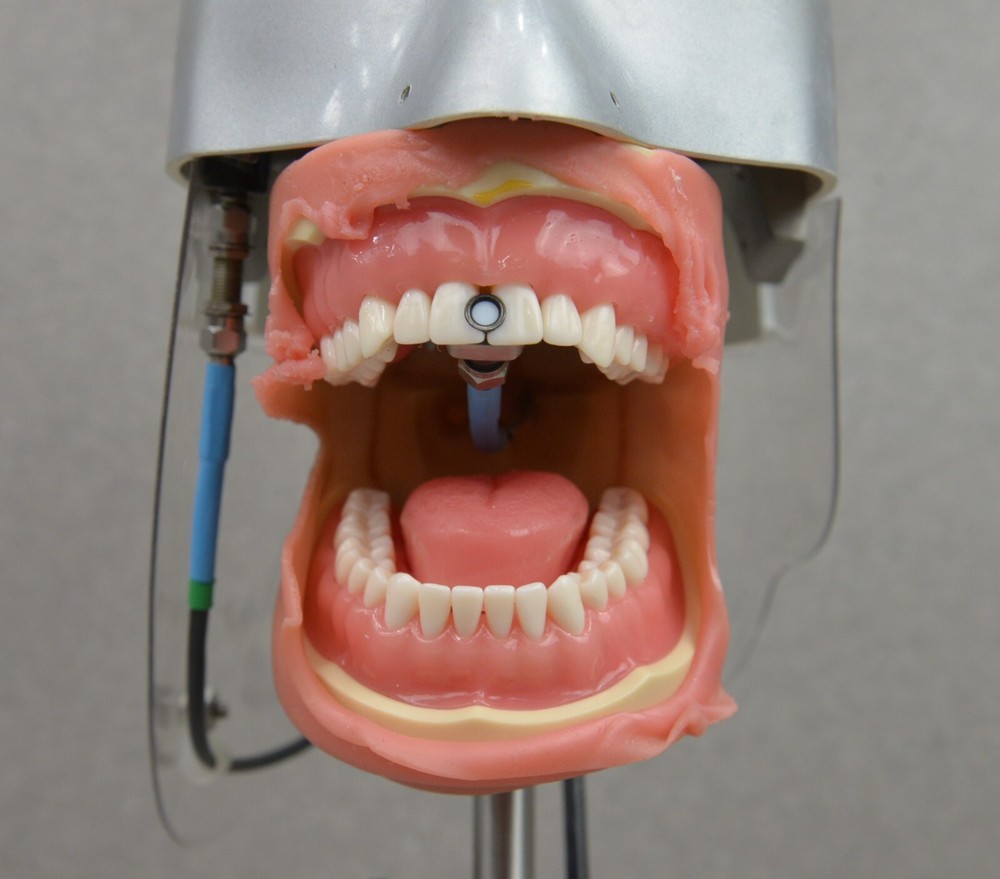 BlueLight Analytics Marc Patient Simulator Light Resin Curing Trainer