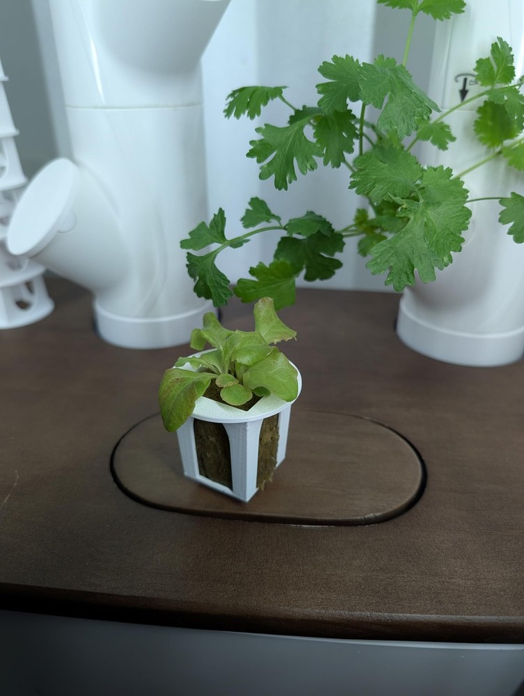 Grow Cubes for Hydroponic System Compatible with Gardyn 10 Cubes